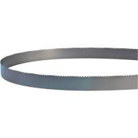 Welded Bandsaw Blade, Bi-Metal, 14' L x 1" W x 4 - 6 TPI - Lenox 1842211