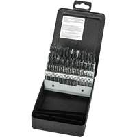 Jeu de forets s&eacute;rie extra courte, 60 morceaux, Acier rapide - Precision 5995677