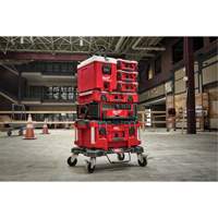 Glaci&egrave;re compacte Packout, 16 pintes Capacit&eacute; - Milwaukee 48-22-8460