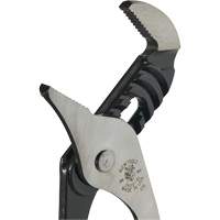 Pinces multiprise, 10" - Klein Tools D502-10