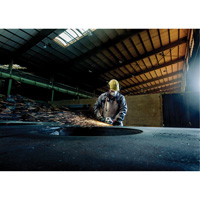 Meuleuse &agrave; angle, 7", 120 V, 8450 Tr/min - Metabo 606466460