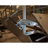 Serre-joint &agrave; pince - Bessey CL24