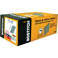 Clous &agrave; charpente en bande - Stanley Bostitch S10D-FH