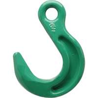 Crochet de fonderie &agrave; œil Cam-Alloy - Campbell 5664815