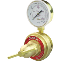 Medium-to-Heavy-Duty Pipeline Regulator, Acetylene, 1/4" NPT(F) Port Inlet - Gentec 853LY-15