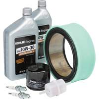 Kohler&reg; Tune Up Kit for Engine Maintenance - Lincoln Electric K3494-1