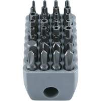 Tamperproof Bit Set, 32 Pcs., Hex/Spanner/Torq-Set&reg;/Torx&reg;/Tri-Wing&reg; - Klein Tools 32525