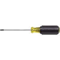 Tournevis Klein a/manche caoutchout&eacute;-Tournevis Torx &agrave; tige ronde - Klein Tools 19543