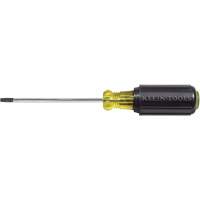 Tournevis Torx (MD)