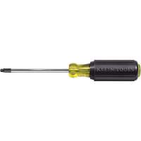 Tournevis Klein a/manche caoutchout&eacute;-Tournevis Torx &agrave; tige ronde - Klein Tools 19545