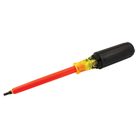 Tournevis &agrave; pointe carr&eacute;e - Gray Tools RB222-I