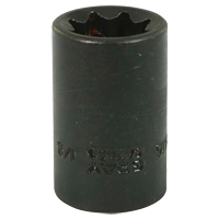 Douille, Chocs, 1/2", Prise 1/2", 8 pans - Gray Tools P4-816