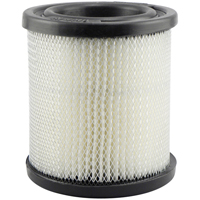 PA1748 Air Element - Baldwin Filters PA1748