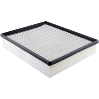 PA4113 Panel Air Element - Baldwin Filters PA4113