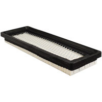 PA5698 Cabin Air Element - Baldwin Filters PA5698