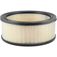 PA657 Air Element - Baldwin Filters PA657