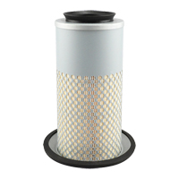 PA3833 &eacute;l&eacute;ment de filtre &agrave; air - Baldwin Filters PA3833
