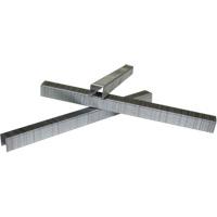 Agrafes de rembourrage, Calibre 22, Couronne 3/8", Longueur 3/8" -  