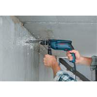 Hammer Drill - Bosch 1191VSRK