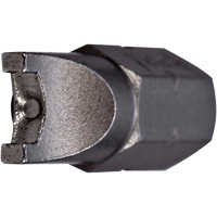 Embout, T&ecirc;te de tricoise, #6, Prise 1/4" - Vega 125SP06A