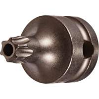 Socket Bit, Torx&reg; Tamper, 40 x 1" L, 3/8" Drive - Vega 228TT40SB