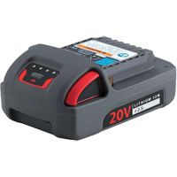 IQV20 Series Battery, Lithium-Ion, 20 V, 2.5 Ah - Ingersoll Rand BL2012