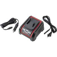 2.5 Ah & 5.0 Ah Battery Charger, 120 V, Lithium-Ion - Ridgid 64383