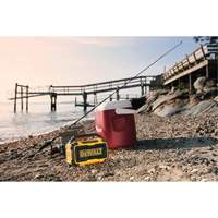 Haut-parleur Max Bluetooth pour chantier (outil seulement), Lithium-ion, 12 V/20 V - DEWALT DCR010