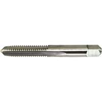 Taraud &agrave; main DRILLCO, Acier au carbone, Filet 1-1/2"-12 - Walter Technologies Pour Surface 20C232FB