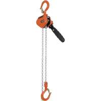 KLP-25-5 KLP Series Lever Chain Hoists, 5' Lift, 500 lbs. (0.25 tons) Capacity, Steel Chain - JET 110803