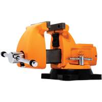 Mechanic's Bench Vise with Anvil, 4" Jaw Width - Gearwrench GWBVA4