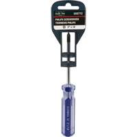 Tournevis Philips bleu transparent avec bandes, #1, Prise Plastique - Outils Aurora 