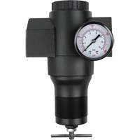 Aluminum Regulator, 1-1/2" NPT, 300 psi Max. PSI, In Line - Topring 52.370A