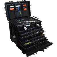 Ensemble de service pour entretien g&eacute;n&eacute;ral, 220 morcea - Gray Tools MS1220