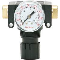 MODULAIR 200 Acetal Piston Regulator, 1/4" NPT, 150 PSI Max. PSI, In Line/Modular - Topring 50.320A