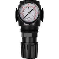 MODULAIR 300 Compressed Air Regulator, 1/2" NPT, 300 psi Max. PSI, In Line/Modular - Topring 50.336A