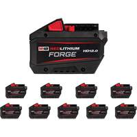 Bloc-pile REDLITHIUM FORGE HD12.0, Lithium-ion, 18 V, 12 Ah - Milwaukee 48-11-1814