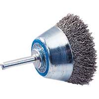 Mounted Crimped Wire Brush - Walter Surface Technologies 13C065