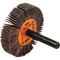 Flap Wheels-Coolcut Flap Wheels, Aluminum Oxide, 80 Grit, 2" x 3/8" x 1/4" - Walter Surface Technologies 15F208