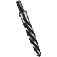 Car Reamer, 1/2", Spiral Flute, High Speed Steel, Straight Shank - Dormer 5986446