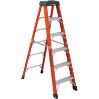 Industrial Extra Heavy-Duty Stepladders (6800 AA Series), 6', Fibreglass, 375 lbs. Capacity, Type 1AA - Featherlite 6806-AA