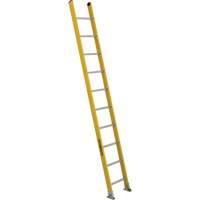 Industrial Extra Heavy-Duty Straight Ladders (5600 Series), 10', Fibreglass, 375 lbs., CSA Grade 1AA - Featherlite 5610D