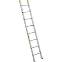 &eacute;chelles droites/&agrave; coulisse industrielles & robustes, 10', Aluminium, 300 lb, CSA calibre 1A - Featherlite 3110D