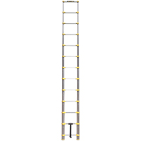 &eacute;chelle t&eacute;lescopique, 3' - 12', Aluminium, Capacit&eacute; de 250 lb, Type 1 - Metaltech E-LAD12T2