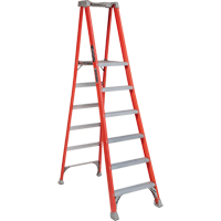 Escabeaux industriels robustes Pro Platform (s&eacute;rie FXP1700), 6', Cap. De 300 lb - Louisville Ladder FXP1706