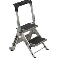 Step Stand/Stool