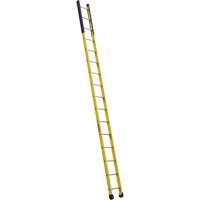 Single Manhole Ladder, 16', Fibreglass, 375 lbs., CSA Grade 1AA - Louisville Ladder FE8916