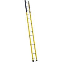 Single Manhole Ladder, 14', Fibreglass, 375 lbs., CSA Grade 1AA - Louisville Ladder FE8914