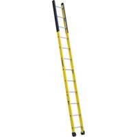 &eacute;chelle &eacute;troite pour trou d'homme, 12', Fibre de verre, 375 lb, CSA calibre 1AA - Louisville Ladder FE8912