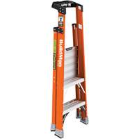 Escabeau avec plateforme Safespace, 2', Cap. De 300 lb - Metaltech E-PSFB2T1A